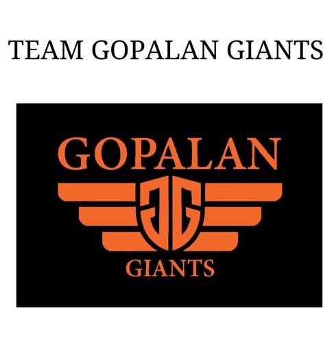 Team Logo